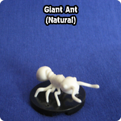 dcm_omens_giant_ant_nat.png
